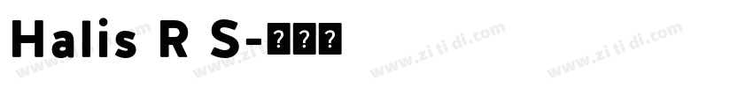Halis R S字体转换